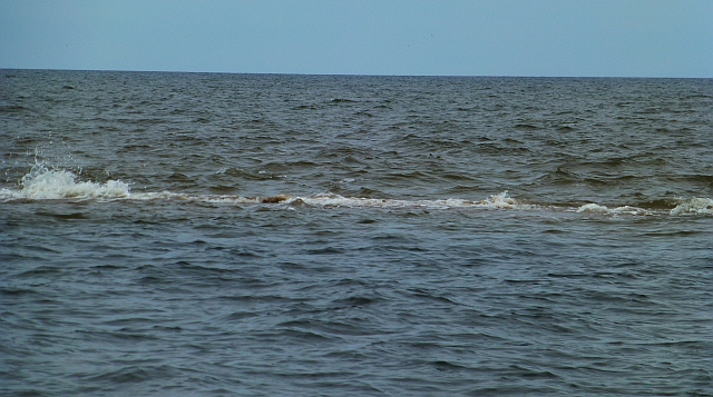 Not what you want to see in the channel